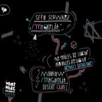 Seth Schwarz - Sundaydance by Seth Schwarz
