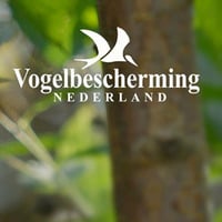 Soundtrack Vogelbescherming Nederland by Drexmeister