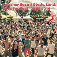 Falscher Hase at Stadt, Land, Bass Festival - 09-08-2014 by Falscher Hase
