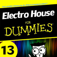 Electro House for Dummies 13 by Kill Yourself