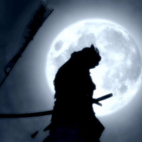 Samurai Moonlight by Phenomenality