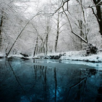 Winter Mix 2015 by David Pickering