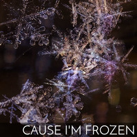 'Cause I'm Frozen by speak