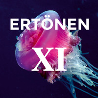 XI - Dimension by ERTÖNEN