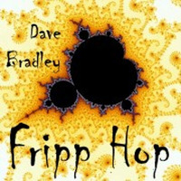 Dave Bradley - FripHop by Dave Bradley