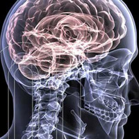 Grenzpunkt Null.Der Phantomschmerz der vergangenen Tage by Grenzpunkt Null Sound