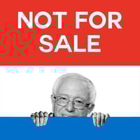 Bern Baby Bern by Aunt B