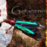 Milonga perdida by Pablo