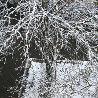 Knuspermix 01/2016 #2 - Adult Oriented House by DJ Knusper