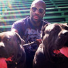 Norman H (stripped music management)