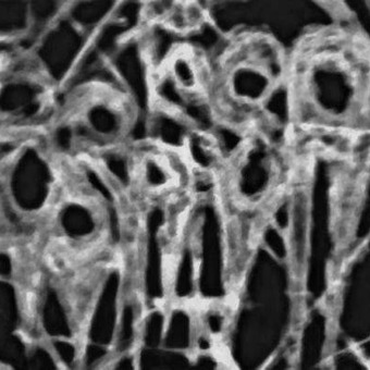 Jacek Chałas Dashkowsky