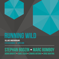 2014-12-13 - Stephan Bodzin b2b Marc Romboy (Systematic Recordings) @ Running Wild, Village Underground - London by evil_concussion