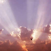 Heavenly Afterparty by Aunt B