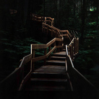 somewhere in between by steven engelmann