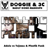 Rolling In Plastic by Badly Done Mashups
