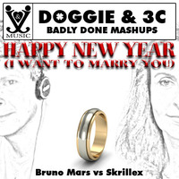 Happy New Year (I Want To Marry You) by Badly Done Mashups