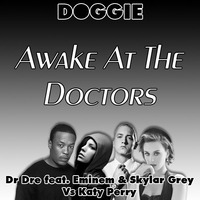 Doggie - Awake At The Doctors by Badly Done Mashups