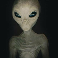 contact in de nacht by DJ Shymon