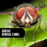 DD0342 Dusk Dubs - General Camel by Dusk Dubs