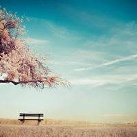 New Uplifting Trance Mix 2016 | Only The Best by Johnny M