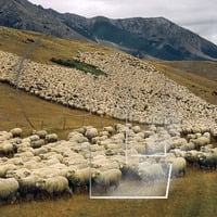 Trouble Sleeping by Colatron