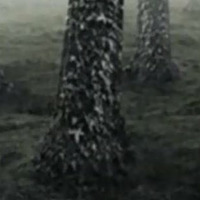 Grenzpunkt Null. Die Fahrt von Kowalski von Colorado in den Sunshine State. II by Grenzpunkt Null Sound