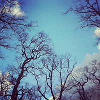 Lhoste Cast #08 by lhoste