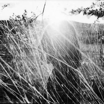 Margot Gabel