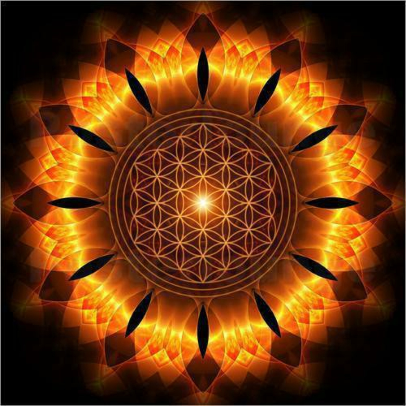 AWAKE/ Meikel King / Admiral Futschi-Tora Frequenz episode artwork