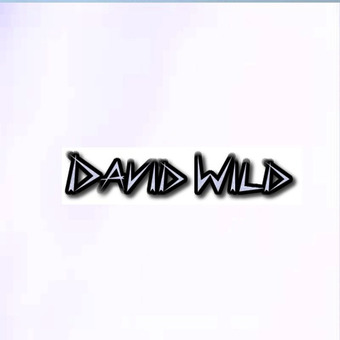 David Wild