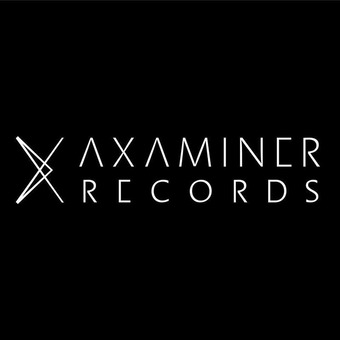 Axaminer Records
