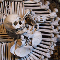 PODCAST: DOKTOR 'FUCKIN' SHITSTORM by Berliner Whiskyclub