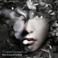 Transformation by Wardy