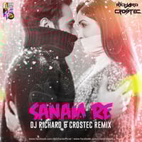 Sanam Re (DJ Richard &amp; Crostec Remix) by DJ Richard Official