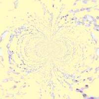 MesmerFish (EP version) by whatsisname