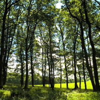 Golden Silver Relaxation by Yoga Nature