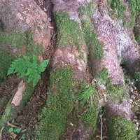 Antar Mouna Meditation by Yoga Nature