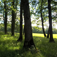 Settling Exercise and PMA1 by Yoga Nature