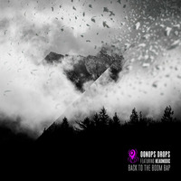 Back To The Boom Bap by Brooklyn Radio