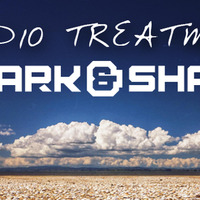 Audio Treatment 030 by Spark & Shade