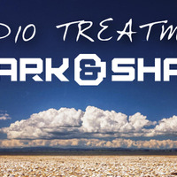 Audio Treatment 032 by Spark & Shade