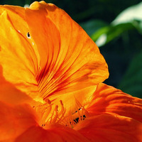 Hin zum Licht by Michael Gasperl