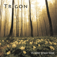 Trigon - "Vil lieber gr&uuml;sse s&uuml;sse"