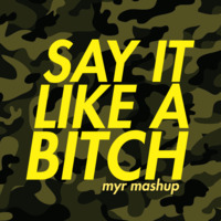 Zomboy VS graves &amp; Coolights - Say It Like A Bitch (Myr Mashup) by myr