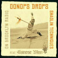 Shaolin Techniques by Brooklyn Radio