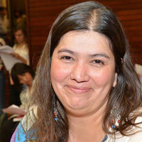 Alejandra Cejas - Diputada provincial - Pedido de informe por convenio con empresas chinas by UNJu Radio