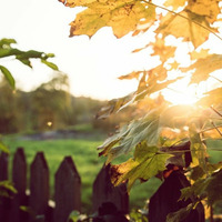 Hidden Spheres - Exclusive Nightflight Guest Mix - 03.11.14 by Tobias Koch - Nightflight - Radio FRITZ