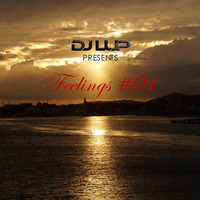 DJ LUP - FEELINGS #01 (2014) [Deep-/Tech-House Set] by DJ LUP