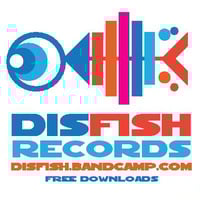 DiSfish Records Special at SZÍK+VÍZ Radio Show for Tilos Radio, Budapest, 2015 by DiSfish Records