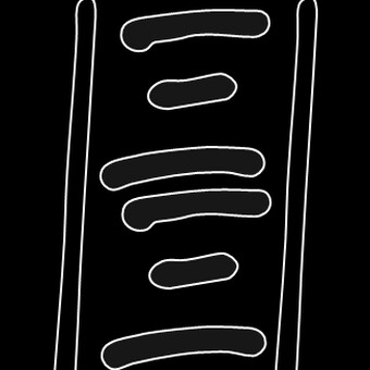 R&Lambda;V&Xi; |&Xi;| B&Xi;&Lambda;T